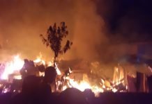 MAN BURNT TO ASHES AT DWARZARK FARM MAN BURNT TO ASHES AT DWARZARK FARM